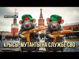 Нас не берут в НАТО. Что не так Шольцем и Шарием. День 975-й