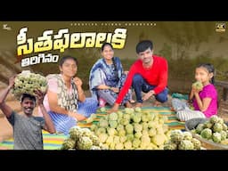 Fruits Hunting  In my village hill | Shree Videos 4K