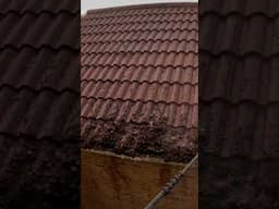 Moss Removal From Curved Roof Tiles #satisfying #cleaning #jetwashing #clean