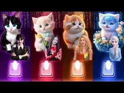 Cute Cats Covers Songs | Wednesday Bloody Mary | Waka Waka Shakira | Flower Jisoo | Enemy Elsa Song