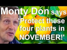 Monty Don says 'Winter Cold Protect these Four Plants in November'