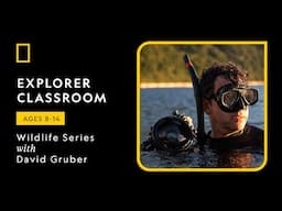 Explorer Classroom | Wildlife Series: Decoding the Deep Sea with David Gruber