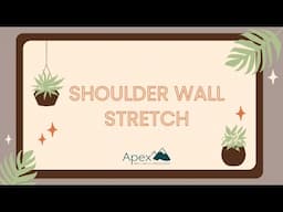 Shoulder Wall Stretch