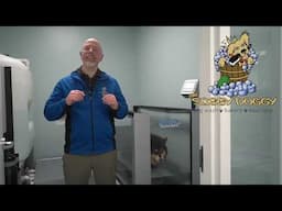 Canine Aquatics - Underwater Treadmill Now At The Soggy Doggy's Normandy Park, WA Location.