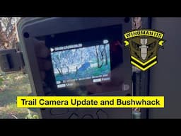 Trail Camera Check And Bushwhack