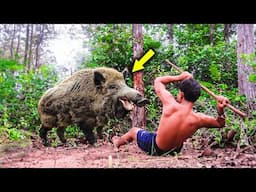 Wild Boar Encounters Caught on Video: Shocking Moments!