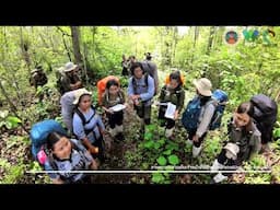 Wildlife Biology Student on the field! | Faculty of Forestry, Kasetsart University | June 2024 | 4K