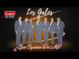 Los Galos - Que Esperas De Mi (En Vivo)🫶💿