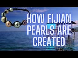 Inside The Process Of Creating Fijian Pearls: A Journey To A Fiji Pearl Farm