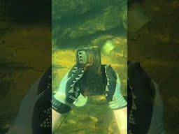 Who Lost Their Phone Underwater? (Scuba Diving)