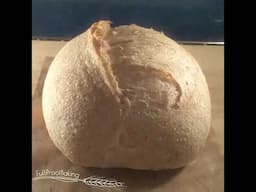 Sourdough Oven Spring Compilation 2020