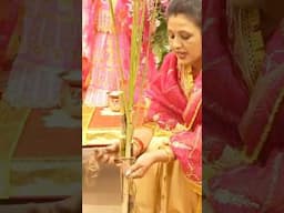 आइये, इस पवित्र त्योहार में मेरे साथ , How I Celebrate Tulsi Vivah Step by Step #shorts #ytshorts