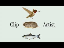 Clip Artist