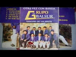 Sin Sangre En Las Venas Grupo Balsur