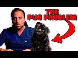 The Pug Problem