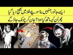 Which Animals Have Traveled In Space Till Date By NASA | If Tv