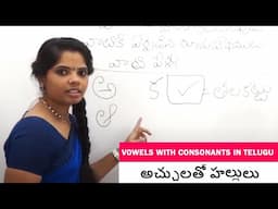 అచ్చులతో హల్లులు | Vowels with consonants in telugu | Learn Telugu