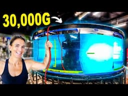 Finally Filling Our 30,000G Shark Tank With Water!