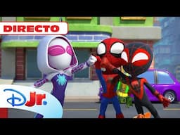 🔴 DIRECTO: Los momentos más increibles de Spidey y su superequipo 🕸️