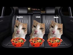 Cat Memes Family Roadtrip to buy Halloween Decorations | Part 1