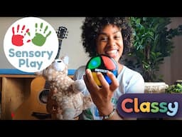 What's in the Box | Classy | Somatosensory System