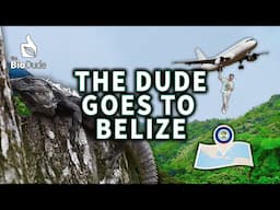 BELIZE 2024 VLOG