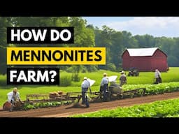 Look INSIDE a Mennonite Farm - Growing Food Without Electricity