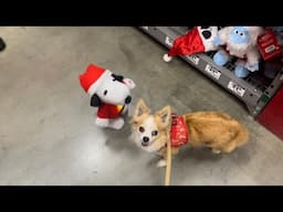 Lily and Bella check out the Home Depot Christmas decorations!