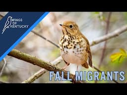 Wings of Kentucky: Fall Bird Migration