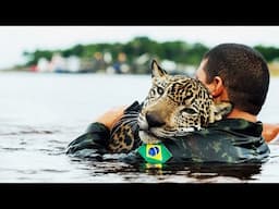 10 Most Inspiring Animal Rescues