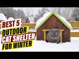 Best Commercial Cat Shelters for Harsh Winters: Reviews & Comparisons