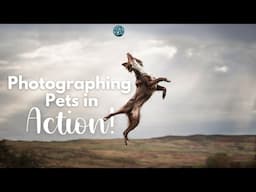 Photographing Dogs in Action!