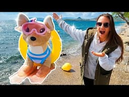 Toy dog wants to swim in the sea! Videos for kids with toys & outdoor activities for kids