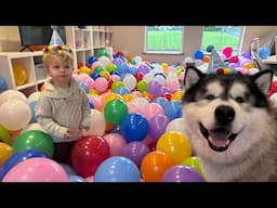 We FIlled The Room With 2000 Balloons! Kid's Cutest Reactions Ever!!