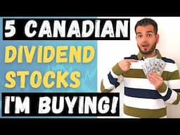 5 Best Canadian Dividend Growth Stocks to Buy Now Q4 2024