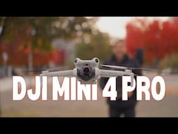 What Makes the DJI Mini 4 Pro Stand Out?