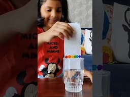 Capillary Action Science Experiment. Check out the full video on our channel #science #shorts