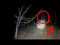 Bigfoot Sasquatch Massacres Pack Of Coyotes Just After Nightfall!