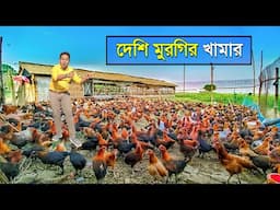 আদর্শ দেশি মুরগির খামার | Murgi Farming | Layer Murgi Farm | Local Murgi Farm | Desi Poultry Farm