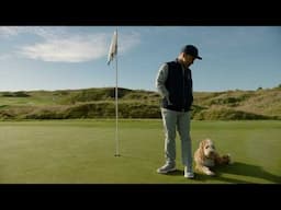 Golf Dogs of Whistling Straits