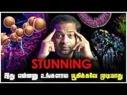 🤯 Unbelievable Science Visuals 😱 அறிவியல் விசித்திர விநோதங்கள் | Mr.GK