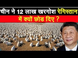 चीन ने 12 लाख खरगोश क्यों रेगिस्तान में छोड़ दिए? | China is Breeding 1,200,000 Rabbits in The Desert