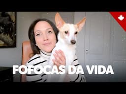 PAREI COM O CANAL? Volta para o Canadá, planos futuros, viagens e fofoquinhas da vida ❤️