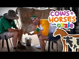 Cows and Horses! Learn All About These Farm Animals | Educational Video for Kids