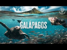 Galapagos Islands - How is this Real Life?!