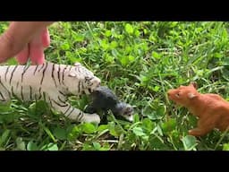 A Tiger Story /part 10/ Schleich