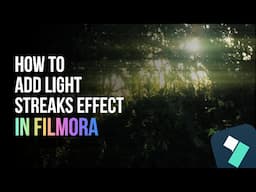 How To Add Light Streaks Effect On Filmora 14