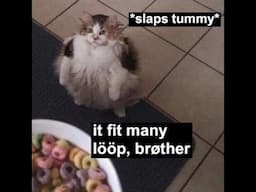 Bröther, may I have some lööps?