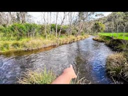 Trout Fishing With Spinners And Soft Plastics (Softbaits)