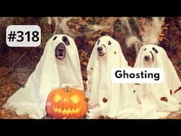 318 Ghosts, Ghosting — Halloween 2024